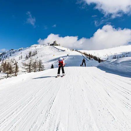 Steinwender Young Style * Feld am See